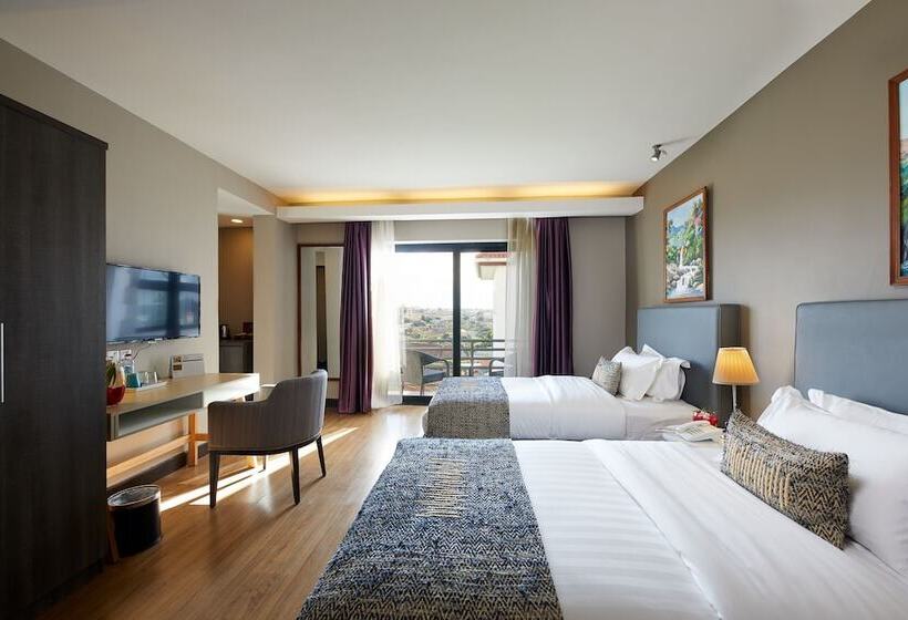 اتاق استاندارد, San Cristobal Boutique Hotel   Ivato Airport