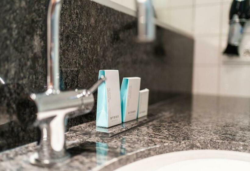 Номер Стандарт, Onderwijshotel De Rooi Pannen Eindhoven