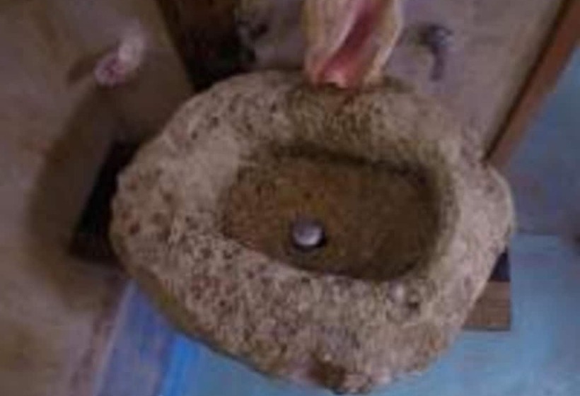 חדר סטנדרט נוף לגינה, Indajani Hostel Tulum
