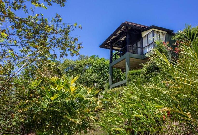 Вилла 1 Спальня Вид на Море, Tiki Villas Rainforest Lodge   Adults Only