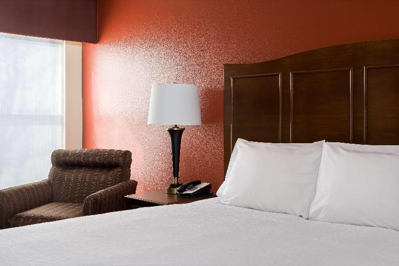 سوئیت با تخت بزرگ, Springhill Suites By Marriott Great Falls