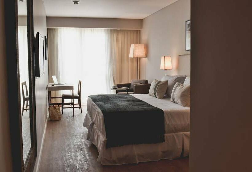 수피리어 룸, Cyan Soho Neuquen