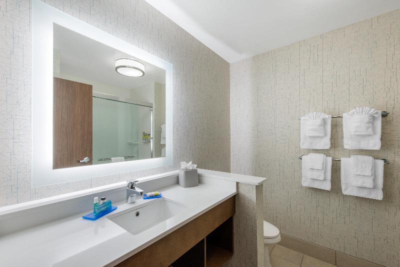 Büyük Çift Kişilik Yataklı Süit, Holiday Inn Express & Suites Alachua   Gainesville Area, An Ihg