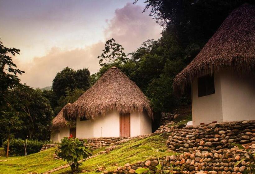 سوئیت با تخت بزرگ, Finca Carpe Diem Ecolodge