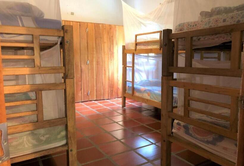 تختخواب در اتاق مشترک, Finca Carpe Diem Ecolodge