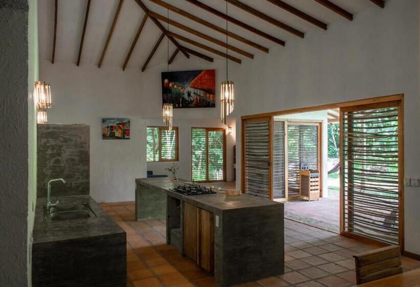 اتاق لوکس با تخت بزرگ, Finca Carpe Diem Ecolodge