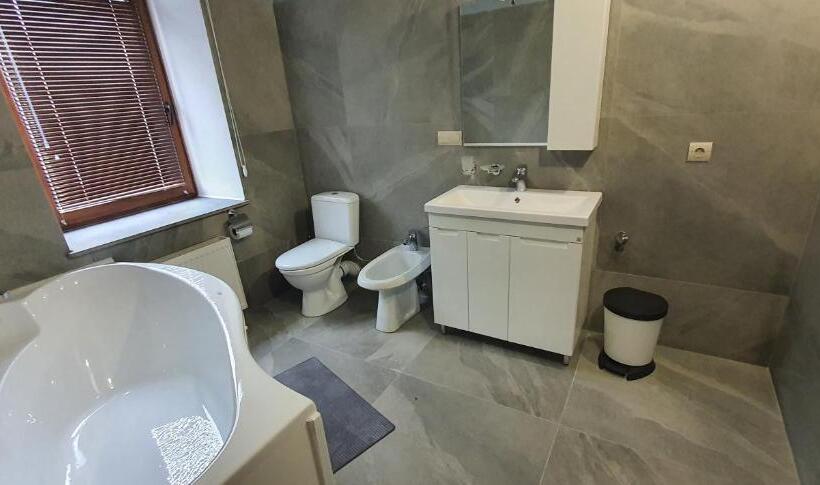 آپارتمان 1 خوابه با تراس, Centralnyi