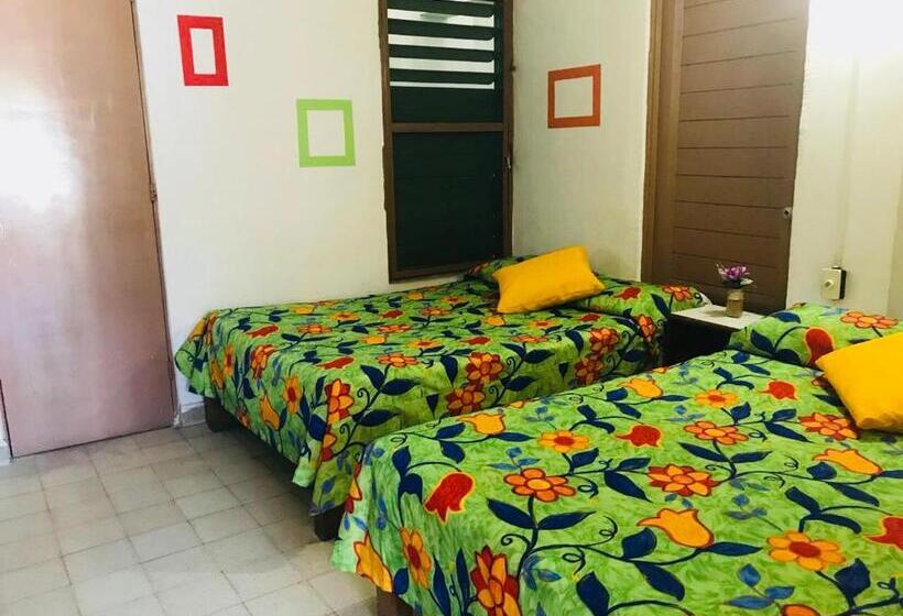 Quarto Estandar, El Kiosco