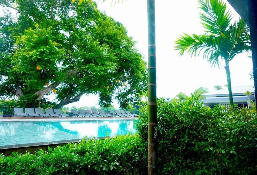 プールの見えるデラックスルーム, The Lake Chalong Hotel Sha Plus
