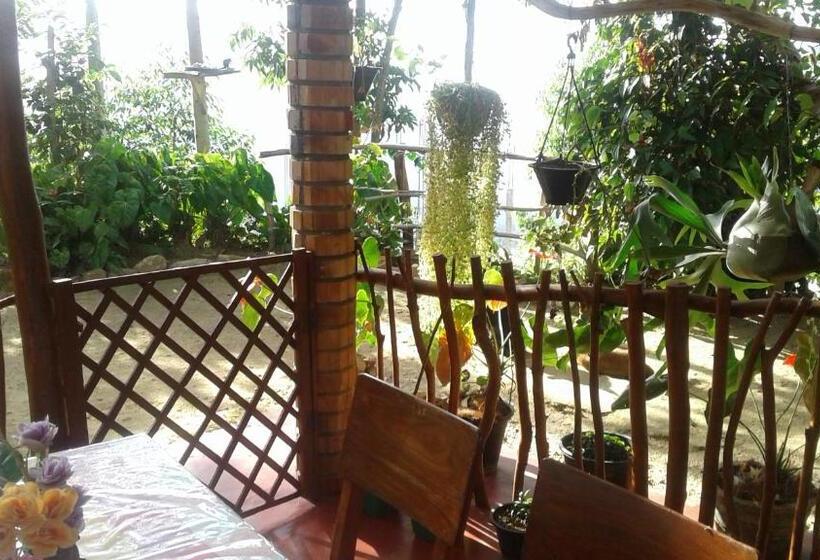 اتاق اکونومی, Malithis Lodge