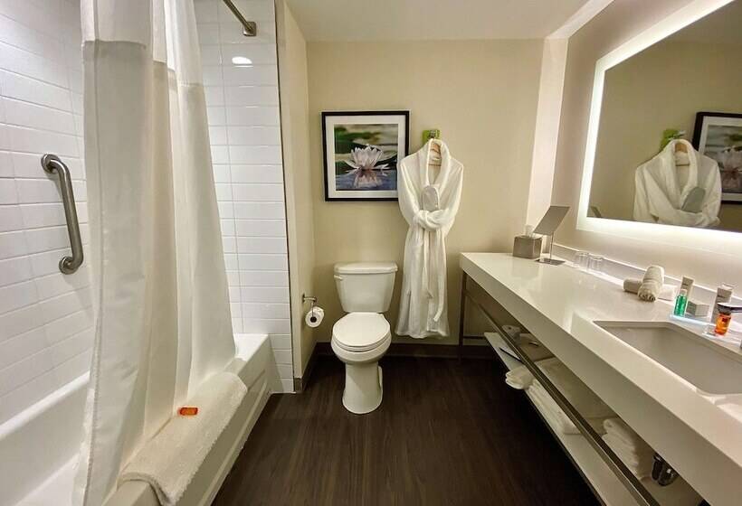 Люкс, Radisson Kingswood Hotel & Suites, Fredericton