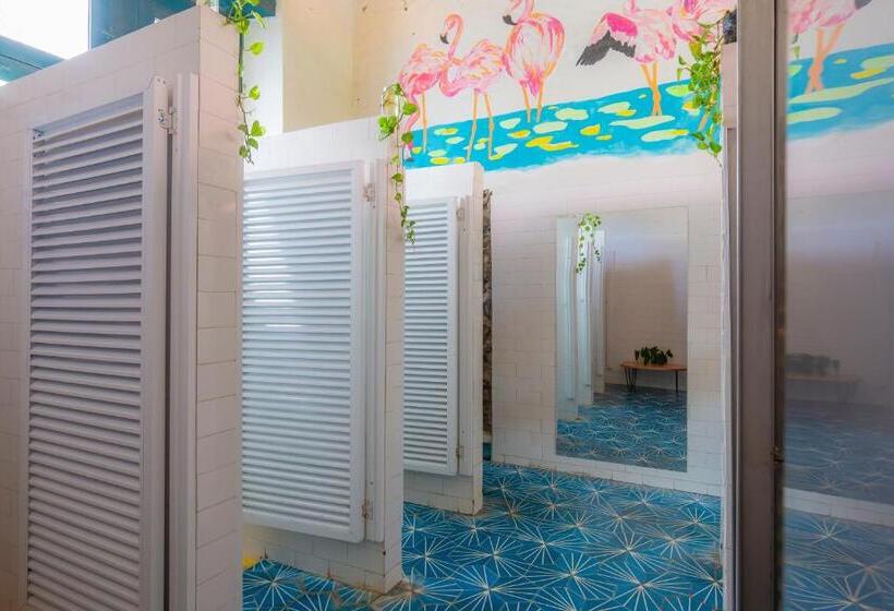 تختخواب در اتاق مشترک, República Hostel Santa Marta
