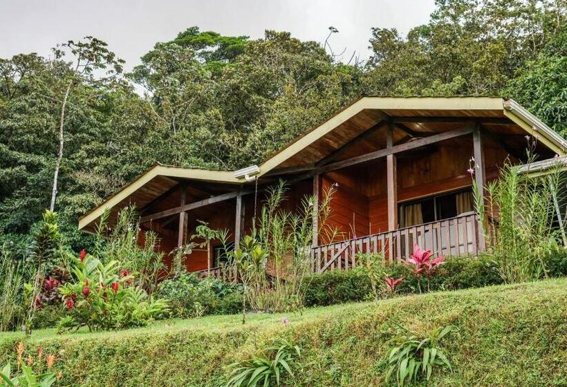 Quarto Superior Quádruplo, Heliconias Rainforest Lodge