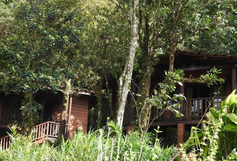 Bangalô Standard, Heliconias Rainforest Lodge
