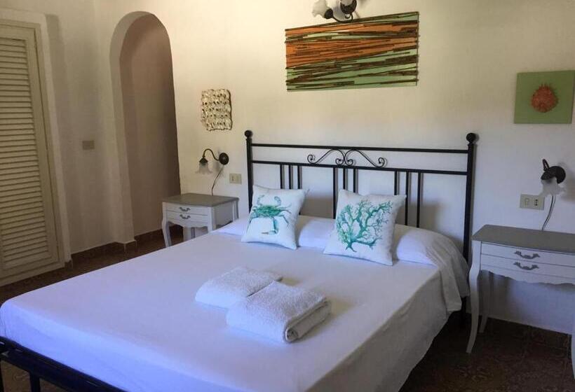 اتاق استاندارد, Roda