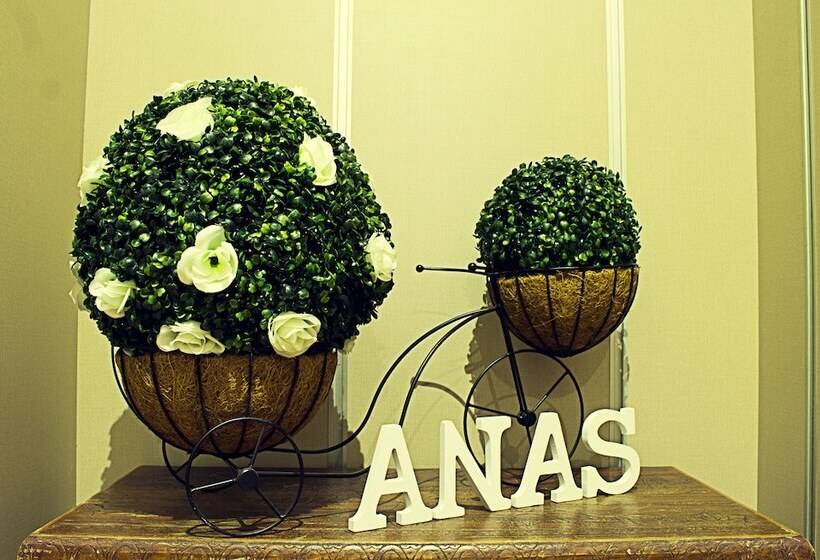 标准单人间, Hostal Anas