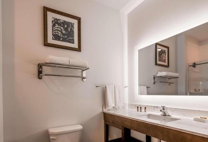 Люкс Кровать Кинг, Best Western Plus New Richmond Inn & Suites