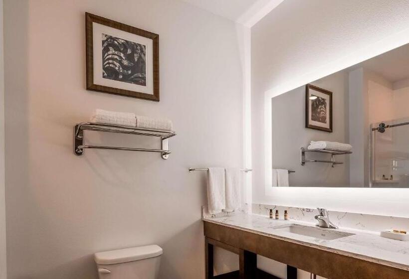 Люкс Кровать Кинг, Best Western Plus New Richmond Inn & Suites