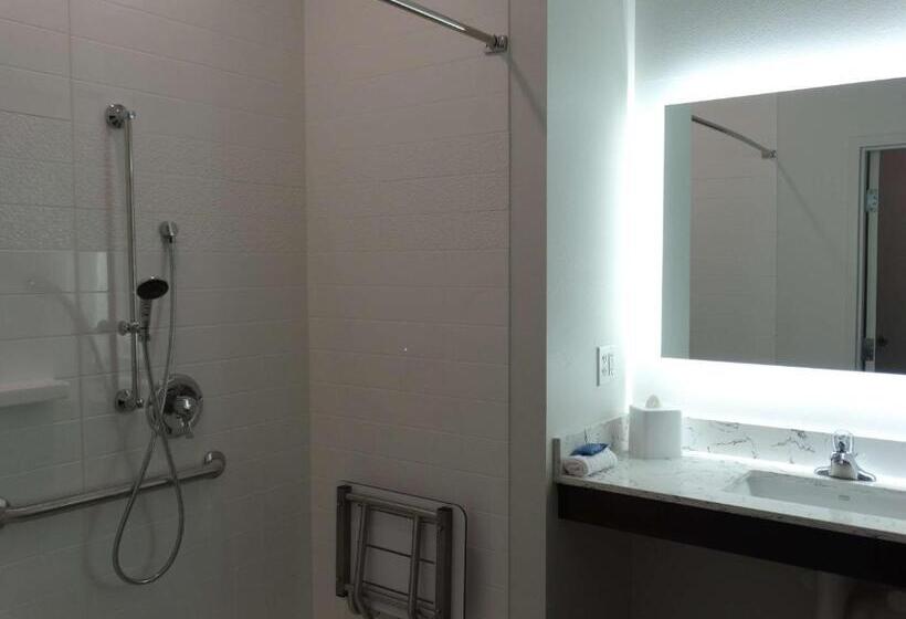 Номер Стандарт Кровать Кинг Адаптированный для Инвалидов, Best Western Plus New Richmond Inn & Suites