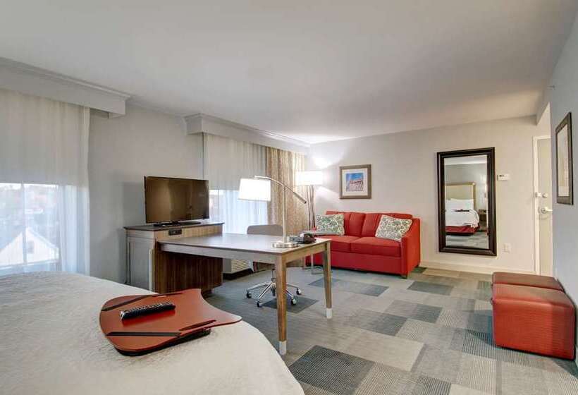 스탠다드 룸 킹사이즈 침대, Hampton Inn & Suites Rocky Hillhartford South