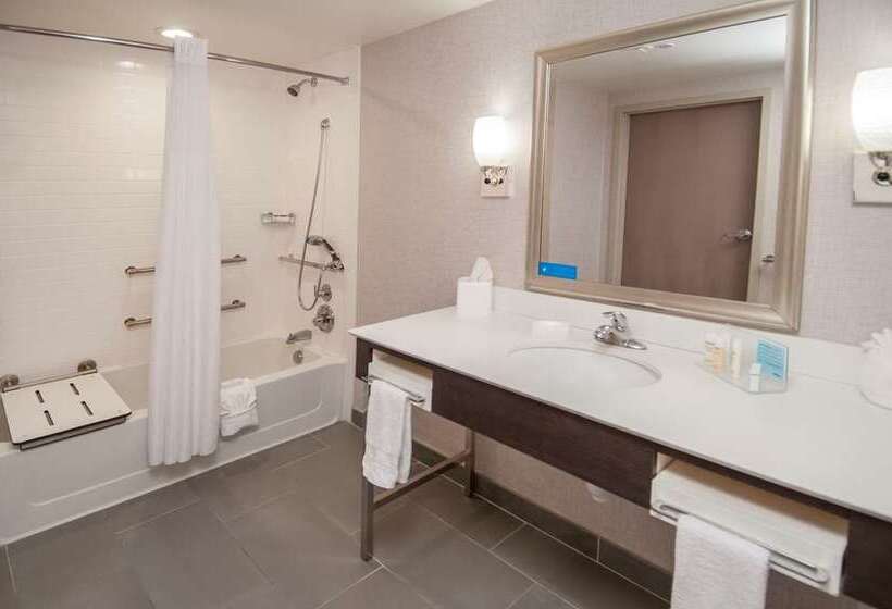 스탠다드 룸 킹사이즈 침대, Hampton Inn & Suites Rocky Hillhartford South
