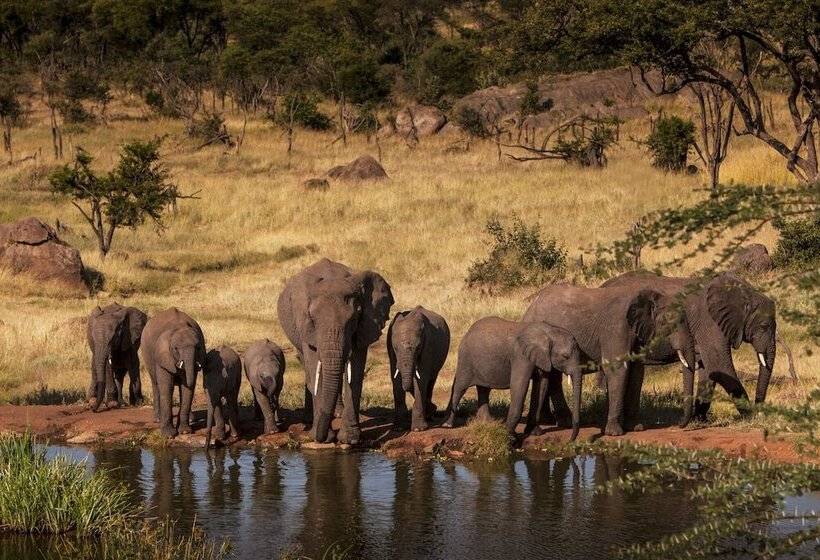 سوئیت با چشم‌انداز, Four Seasons Safari Lodge Serengeti