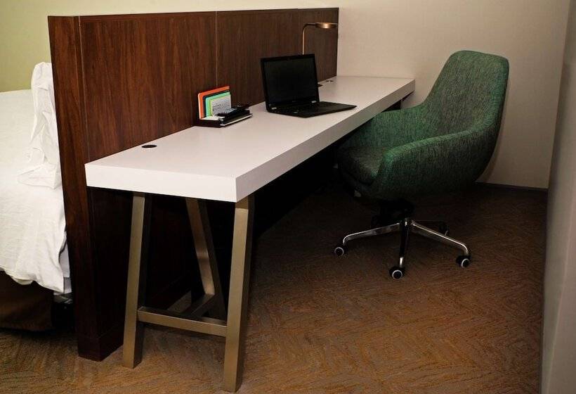 Номер Премиум, Hilton Garden Inn Dallas  At Hurst Conference Center
