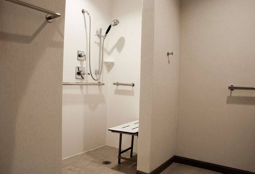 Номер Премиум, Hilton Garden Inn Dallas  At Hurst Conference Center