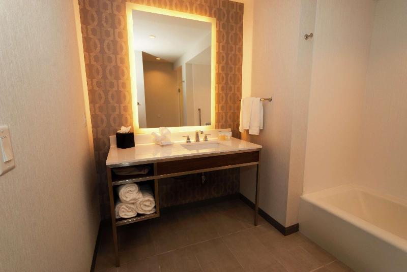 带大床的套房, Hilton Garden Inn Dallas  At Hurst Conference Center