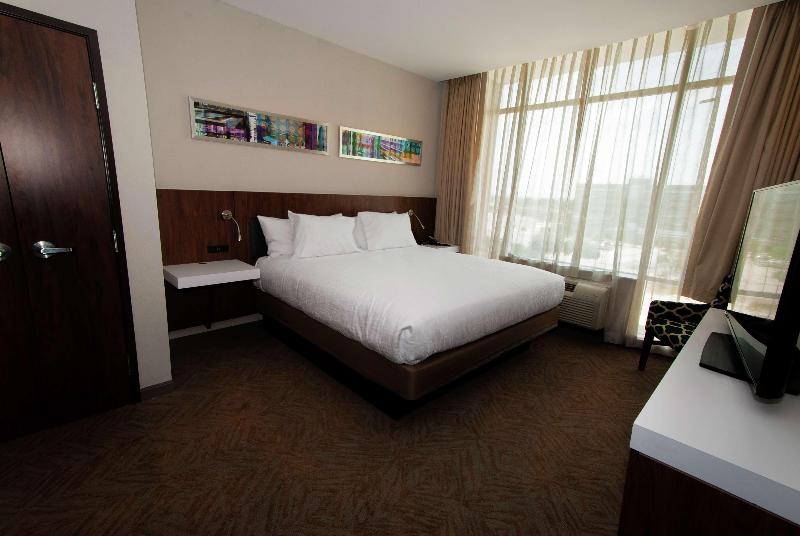 Люкс Кровать Кинг, Hilton Garden Inn Dallas  At Hurst Conference Center