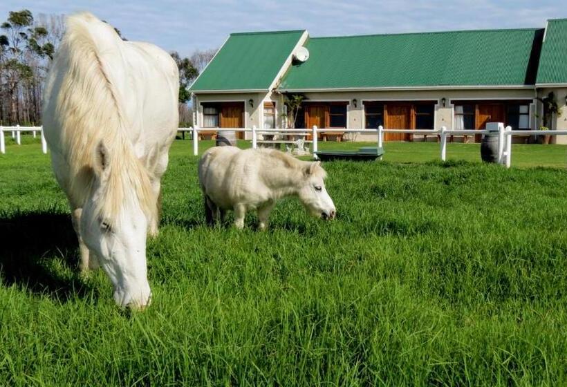 Люкс Повышенной Комфортности, Tniqua Stable Inn