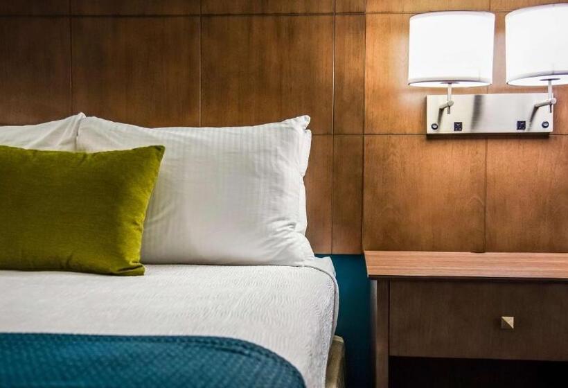 适合残疾人士使用的带超级大床的标准间, Best Western Plus Bolivar Hotel & Suites