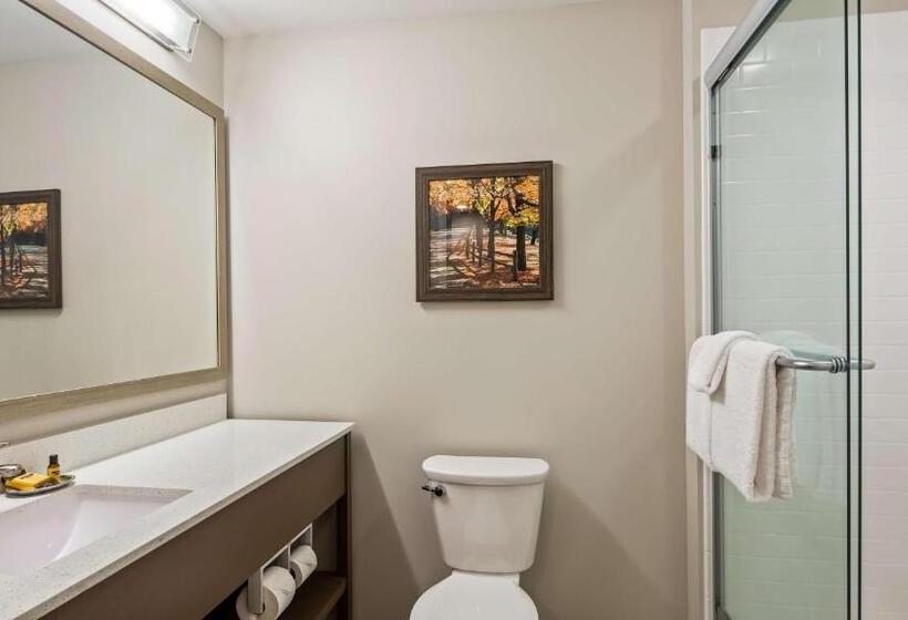 带大床的套房, Best Western Plus Bolivar Hotel & Suites
