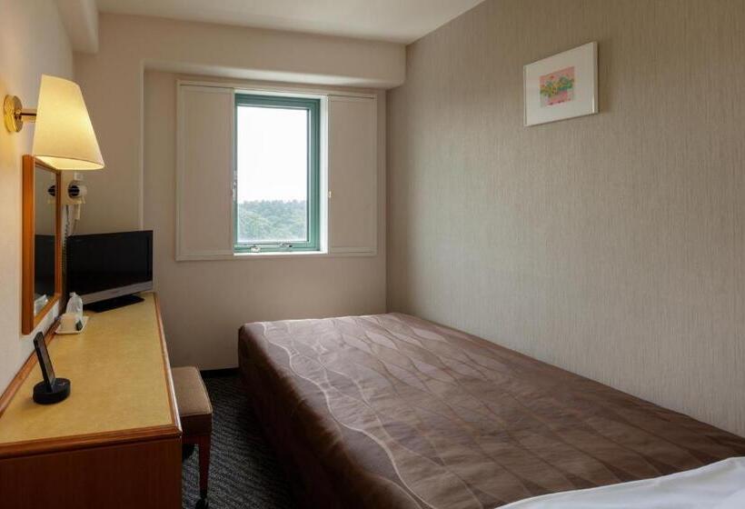 Номер Базовый Двуспальная Кровать, Center Hotel Narita1