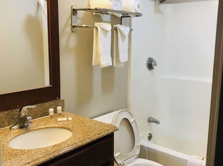 Номер Стандарт 2 Двуспальные Кровати, Rodeway Inn