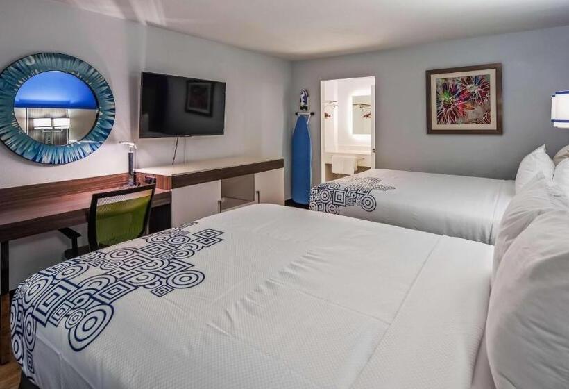 스탠다드 룸, Surestay Plus Hotel By Best Western Sacramento Cal Expo