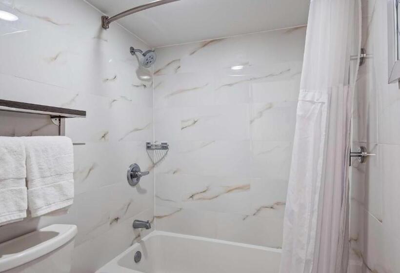 스탠다드 룸 킹사이즈 침대, Surestay Plus Hotel By Best Western Sacramento Cal Expo