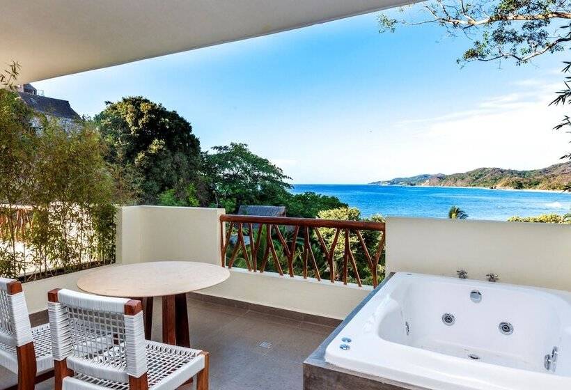 ジュニアスイート, Ysuri Sayulita