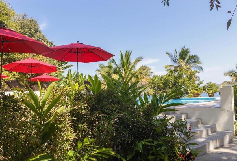ジュニアスイート, Ysuri Sayulita
