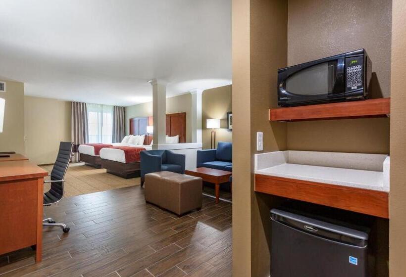 Люкс Адаптированный для Инвалидов, Comfort Suites