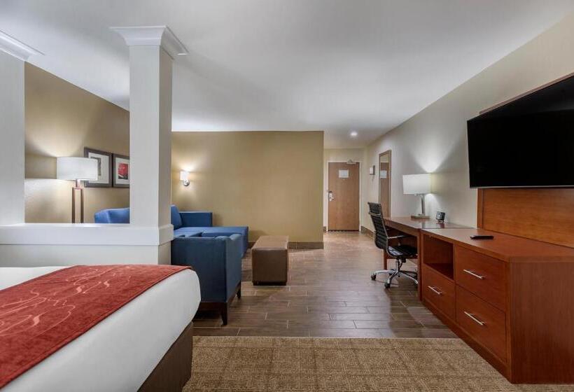 Люкс Адаптированный для Инвалидов, Comfort Suites