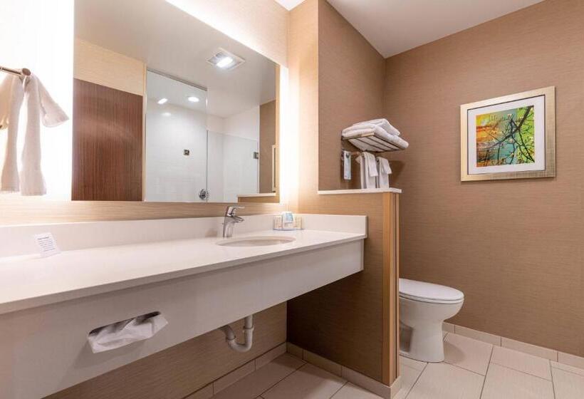 이그제큐티브 스위트, Fairfield Inn & Suites By Marriott Somerset