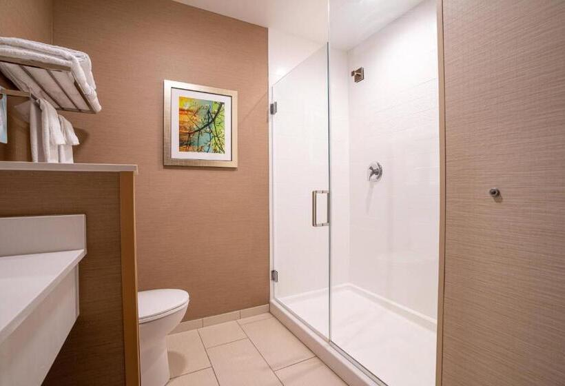 스탠다드 룸 킹사이즈 침대, Fairfield Inn & Suites By Marriott Somerset