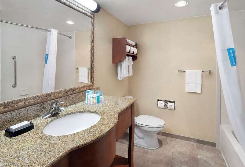 Номер Стандарт Адаптированный для Инвалидов, Hampton Inn & Suites Teaneck Glenpointe
