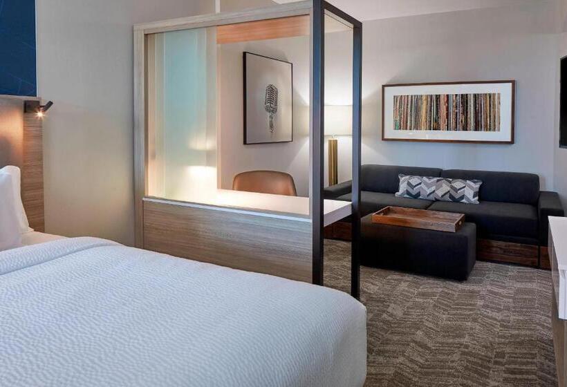Lakosztály, Springhill Suites By Marriott Nashville Downtown/convention Center