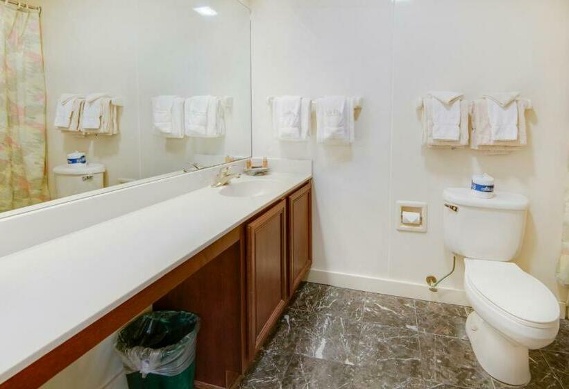 Апартаменты 2 Спальни, La Plaza Apartments