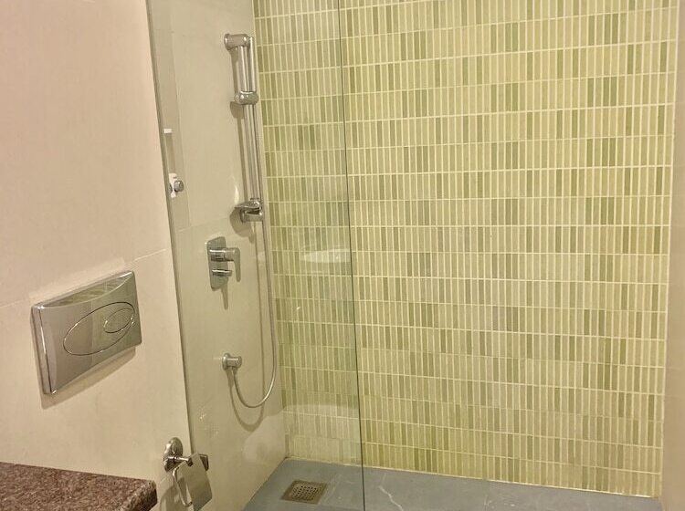 חדר סופריור, Ginger Vadodara Rcr