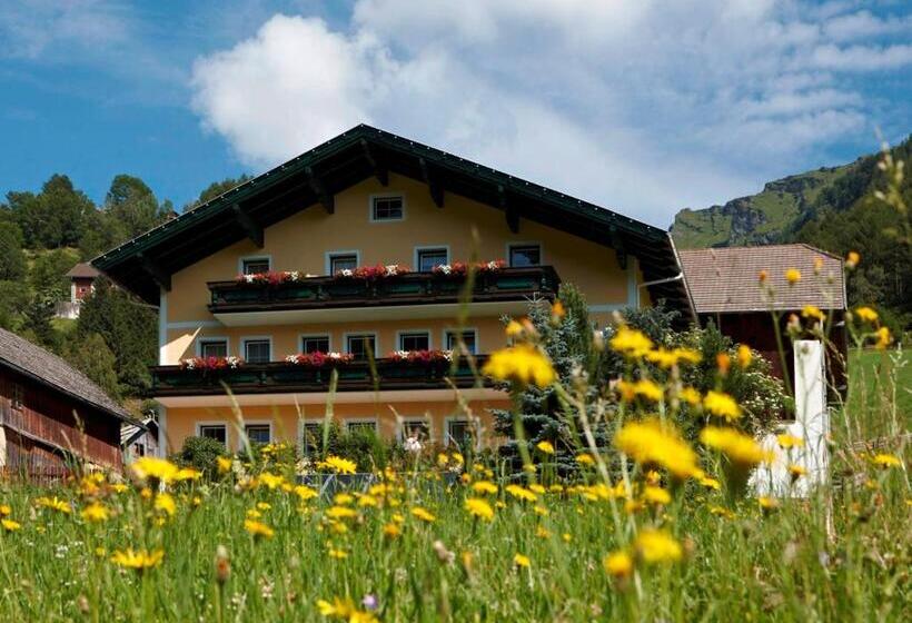 Номер Стандарт, Pension Waldhauser