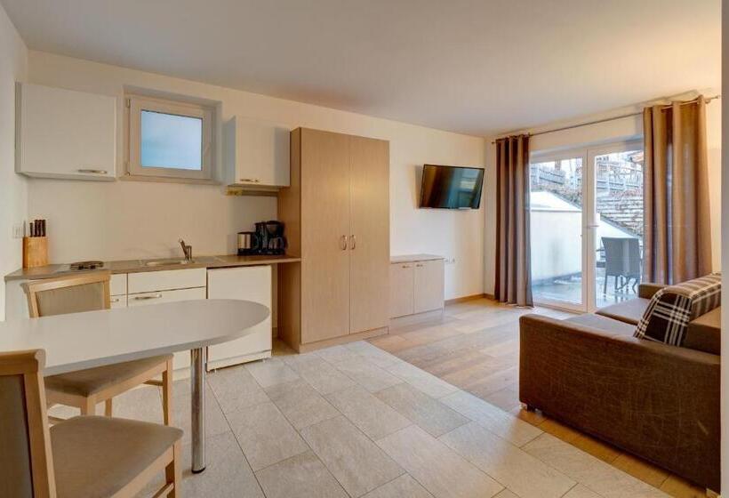 Апартаменты 1 Спальня, Residence Gasser