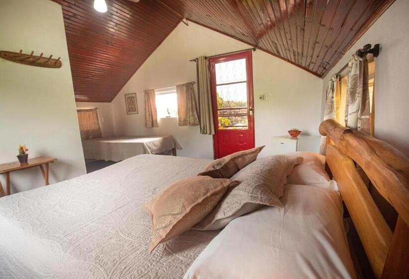 Номер Стандарт Трехместный, Buddy's Hostel & Pousada Alto Paraiso